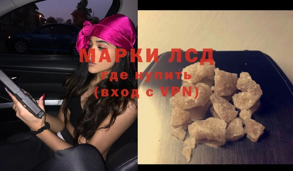 ECSTASY Пересвет