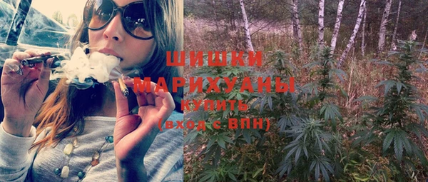 ECSTASY Пересвет