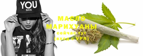 ECSTASY Пересвет
