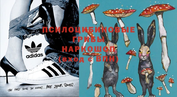МДПВ Переславль-Залесский