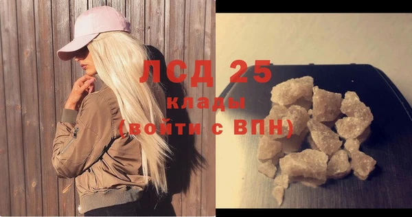 ECSTASY Пересвет