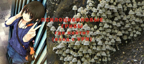 ECSTASY Пересвет
