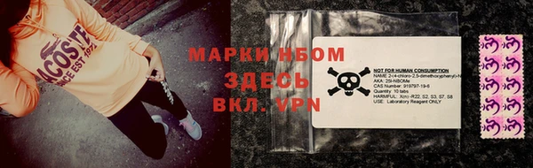 ECSTASY Пересвет