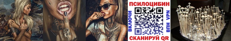 Псилоцибиновые грибы Magic Shrooms что такое Сосногорск